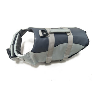 Unleash the Fun: Pet Life Jacket For Safe Water Adventures