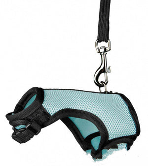 Experience Ultimate Control with Our Small Adjustable Pet Leash