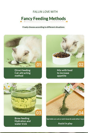 Why Your Cat Deserves the Best: Introducing Catnip Grass Leaves Pet Treats