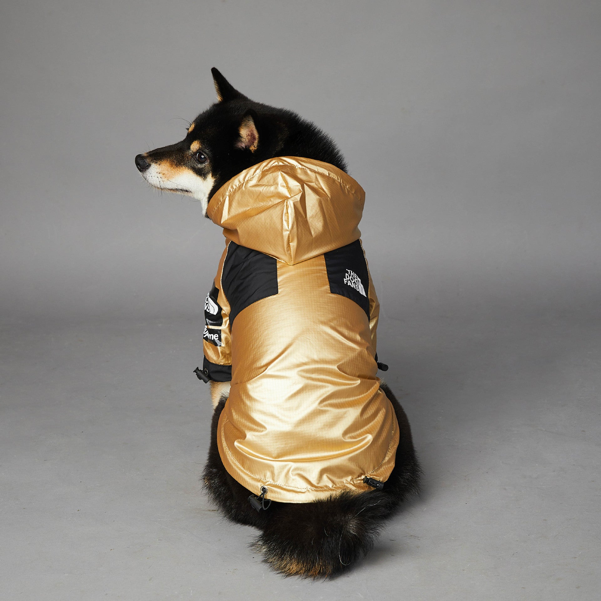 c05a3f82285876e4ccd80a6d392032e2